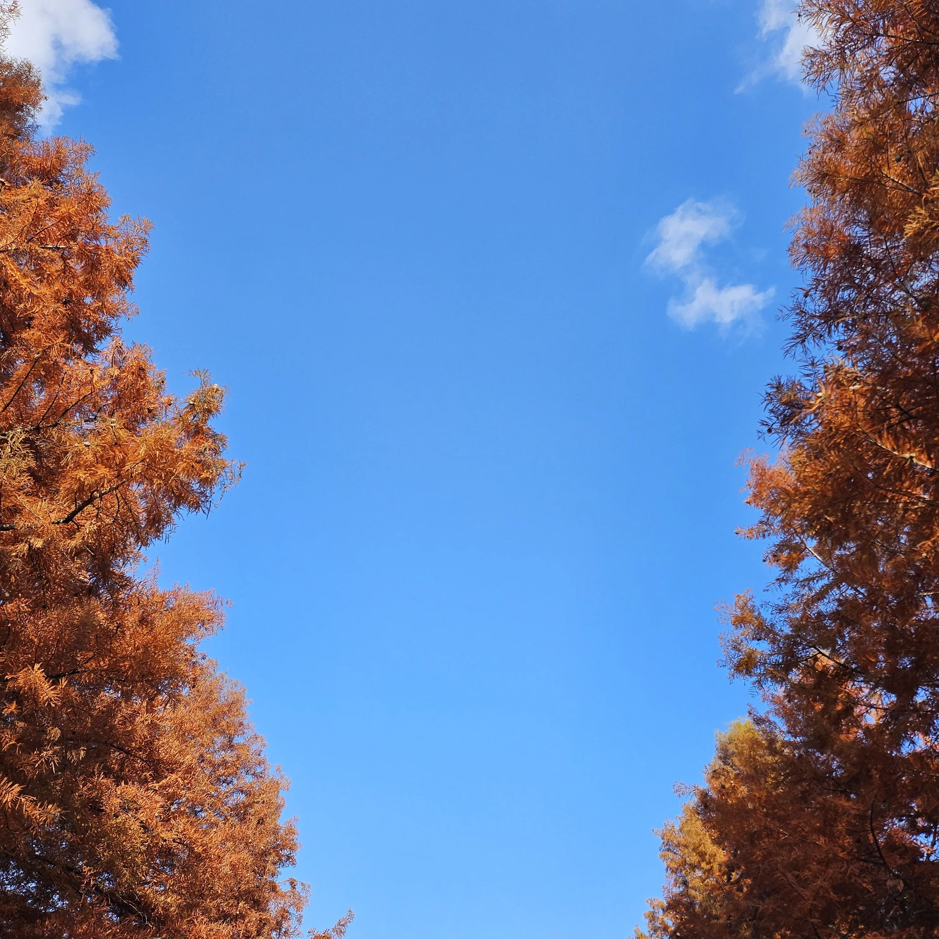 TestyMiki1864의 자유