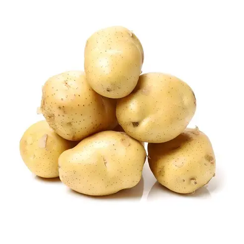 potato_rui_fan의 햇감쟈