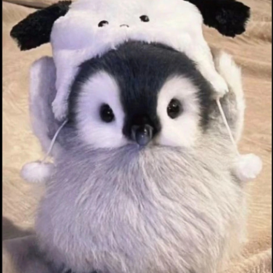 사랑이