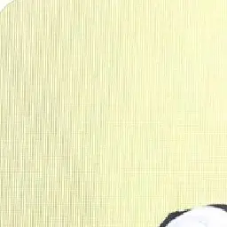 ifm의 .