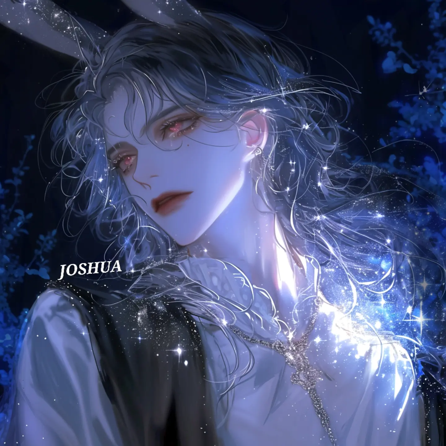 JOSHUA의 베르디움
