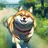 転生柴犬
