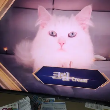 Profile image of 크림