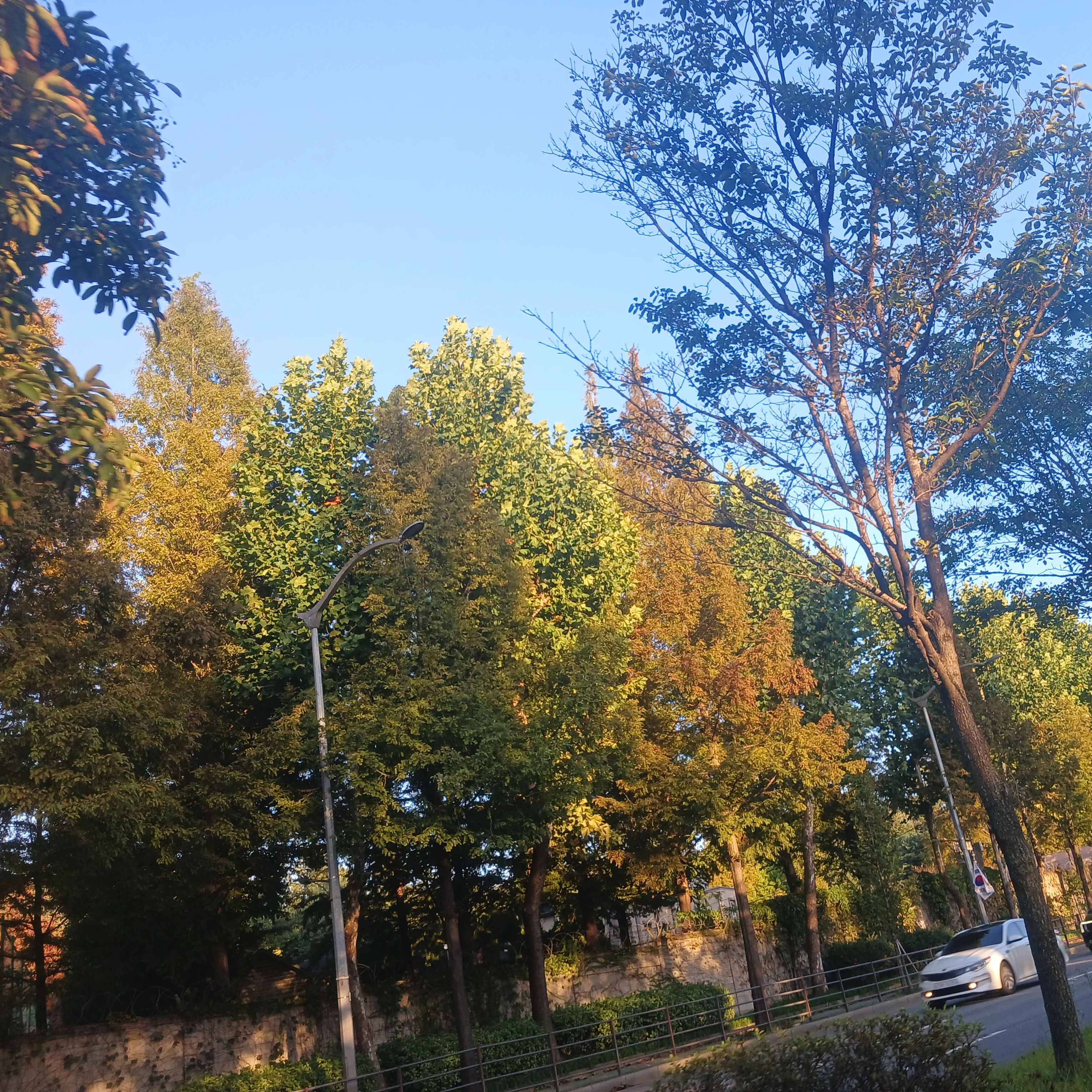 이찬
