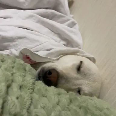 Profile image of 一般人B