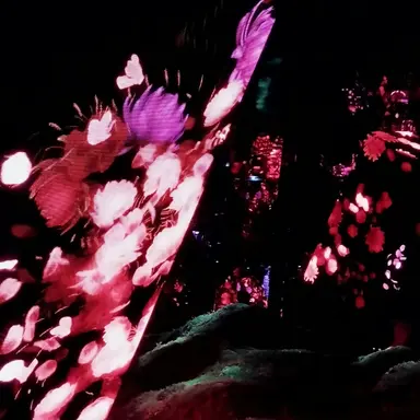 Profile image of ハリー