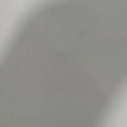 BoringSnore4299의 フィンくんと、雪遊び