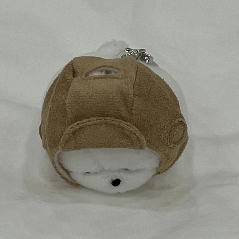 준브