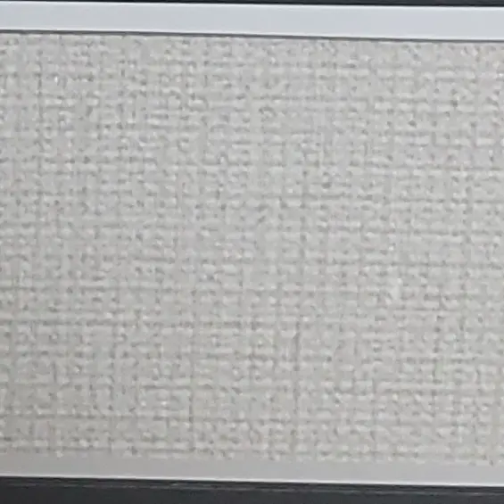 IvoryAkita9071의 그녀