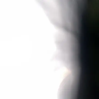 Profile image of Marcus