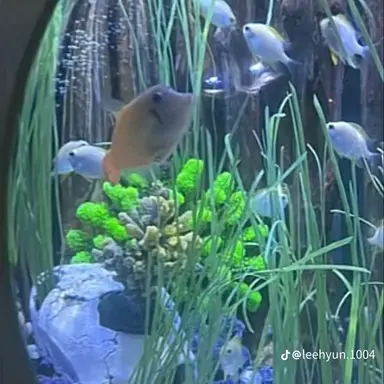 Profile image of 허태안