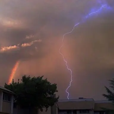 Profile image of 유 지 민