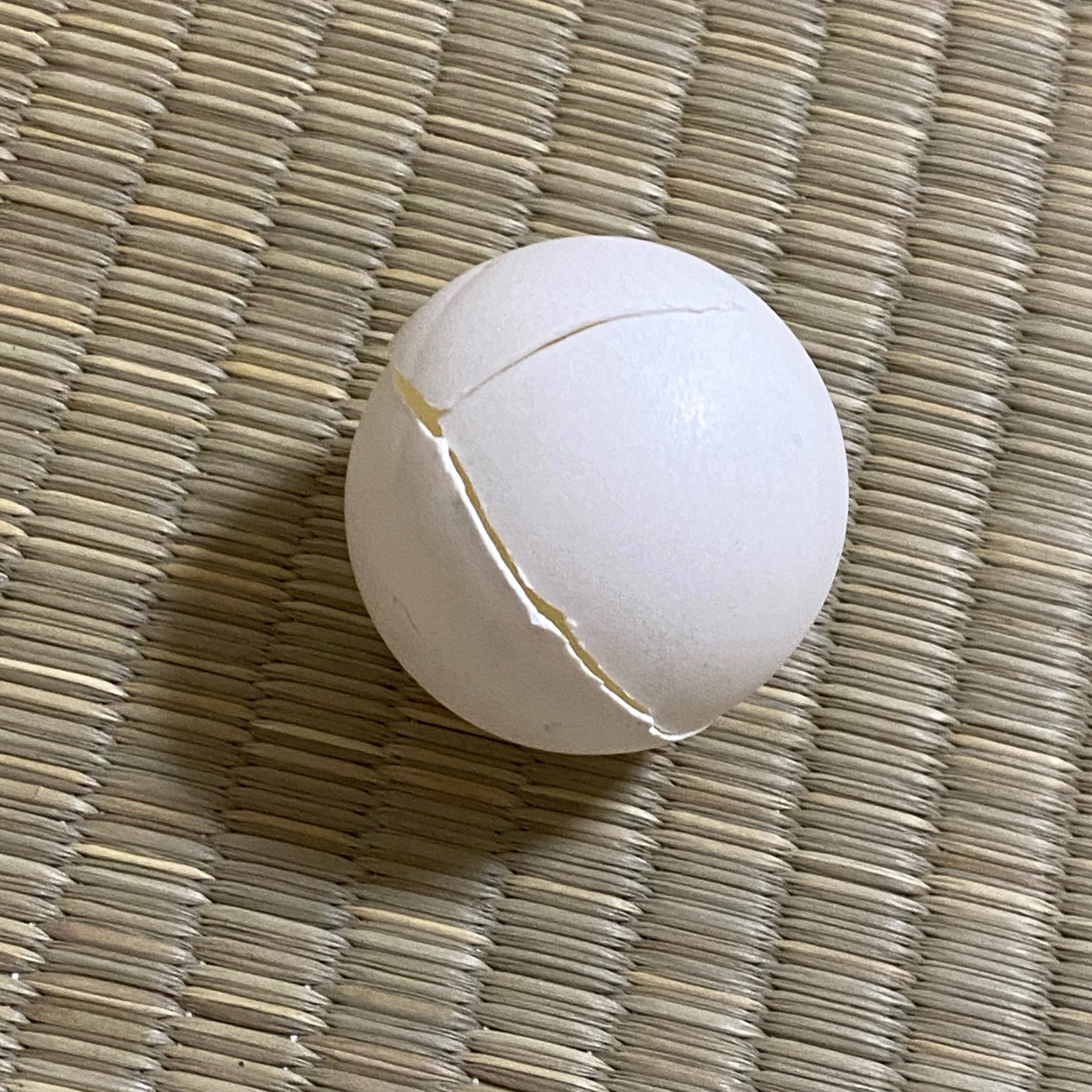 さいとうゆわ