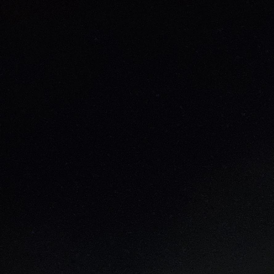 윤지안