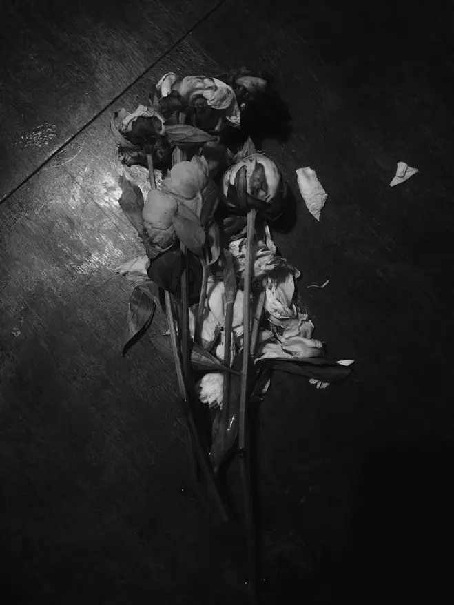 joahae_0.0의 차지환