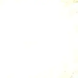 LivelyEar2876의 혜안져스