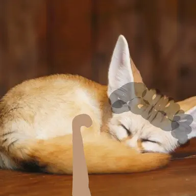 Profile image of 할머니