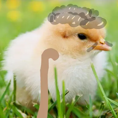 Profile image of 할아버지