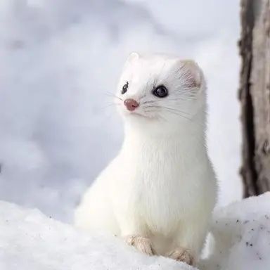 Profile image of 현진