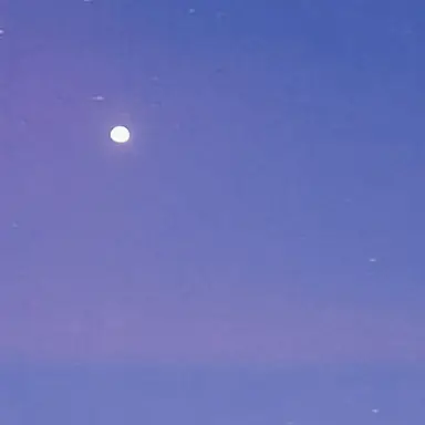 Profile image of はっとり