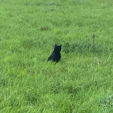 Profile image of 정공룡