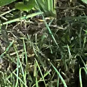 Profile image of user