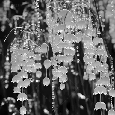 Profile image of 늦잠