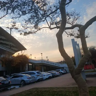 Profile image of 플래그