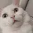 누룽지🐱