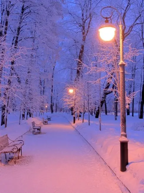 Green_tea_11의 미스터리 수사반