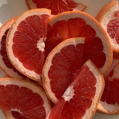 Profile image of 라더