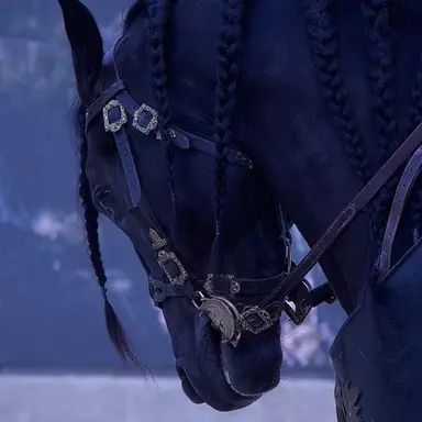 Profile image of ナイト