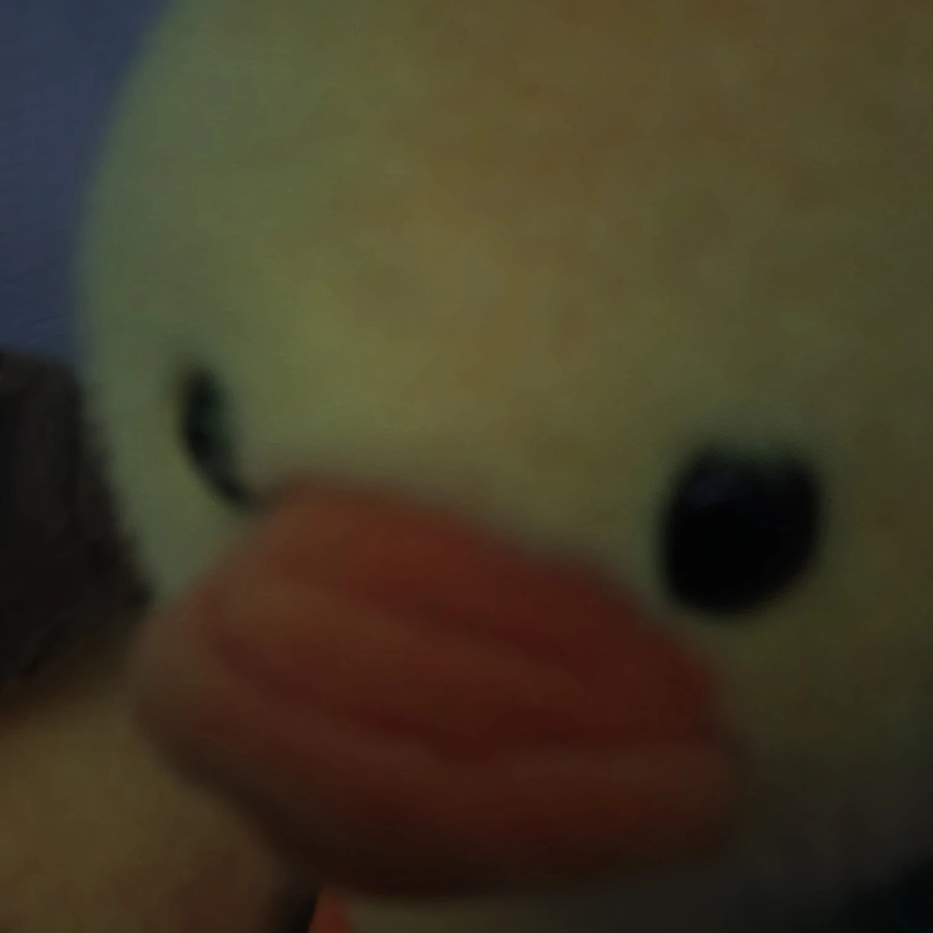 오리