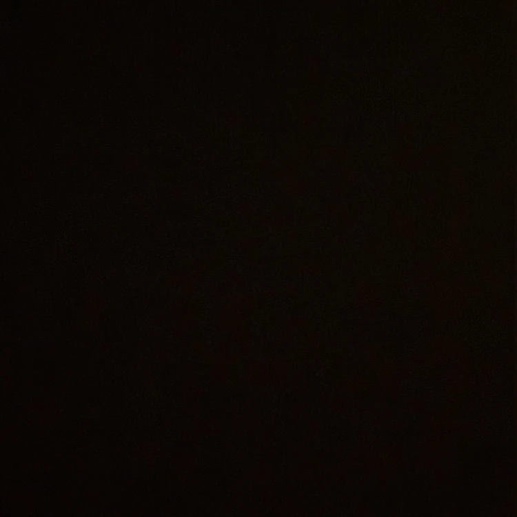 선우