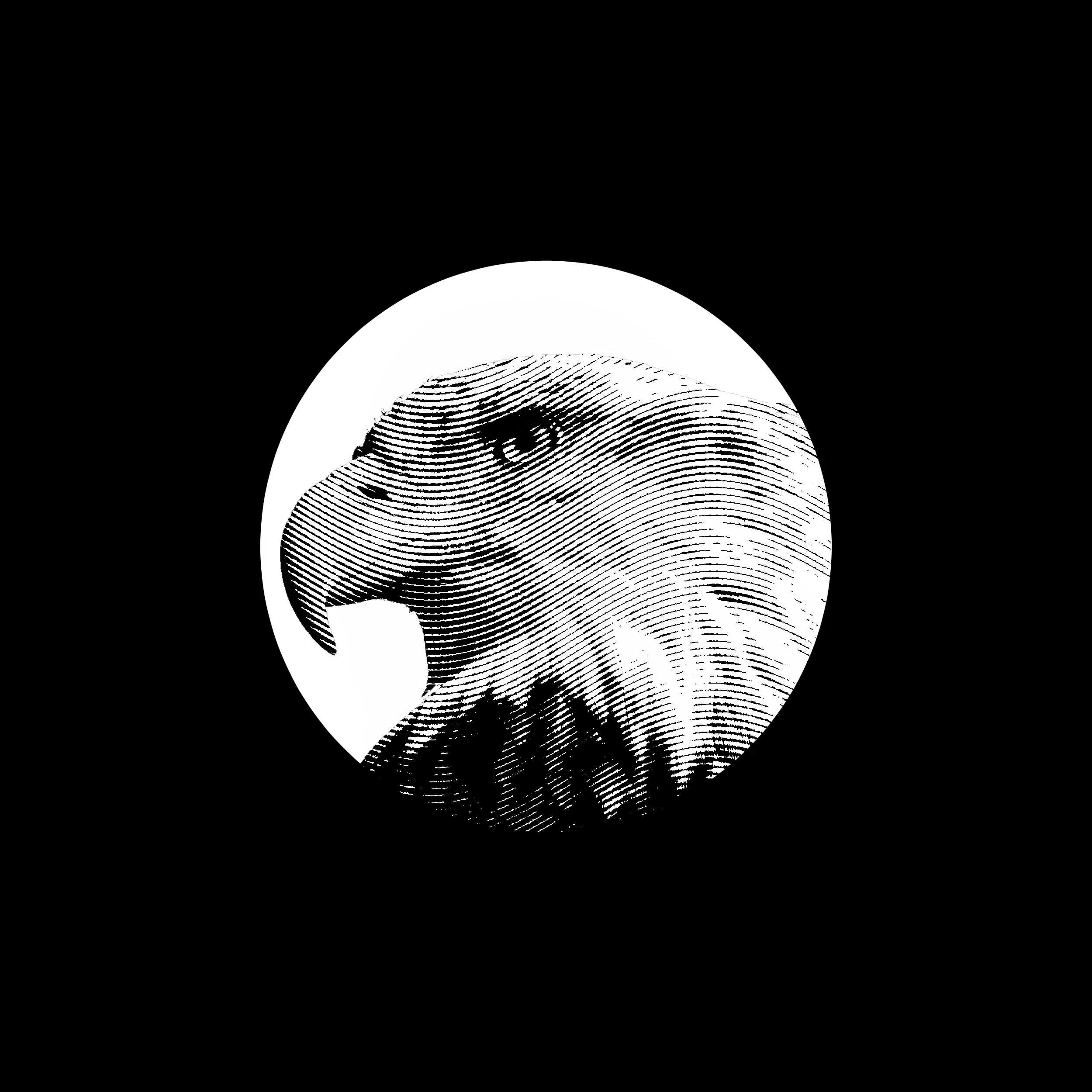 DomPerignon의 傲慢