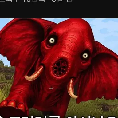 Profile image of 붉은 코끼리
