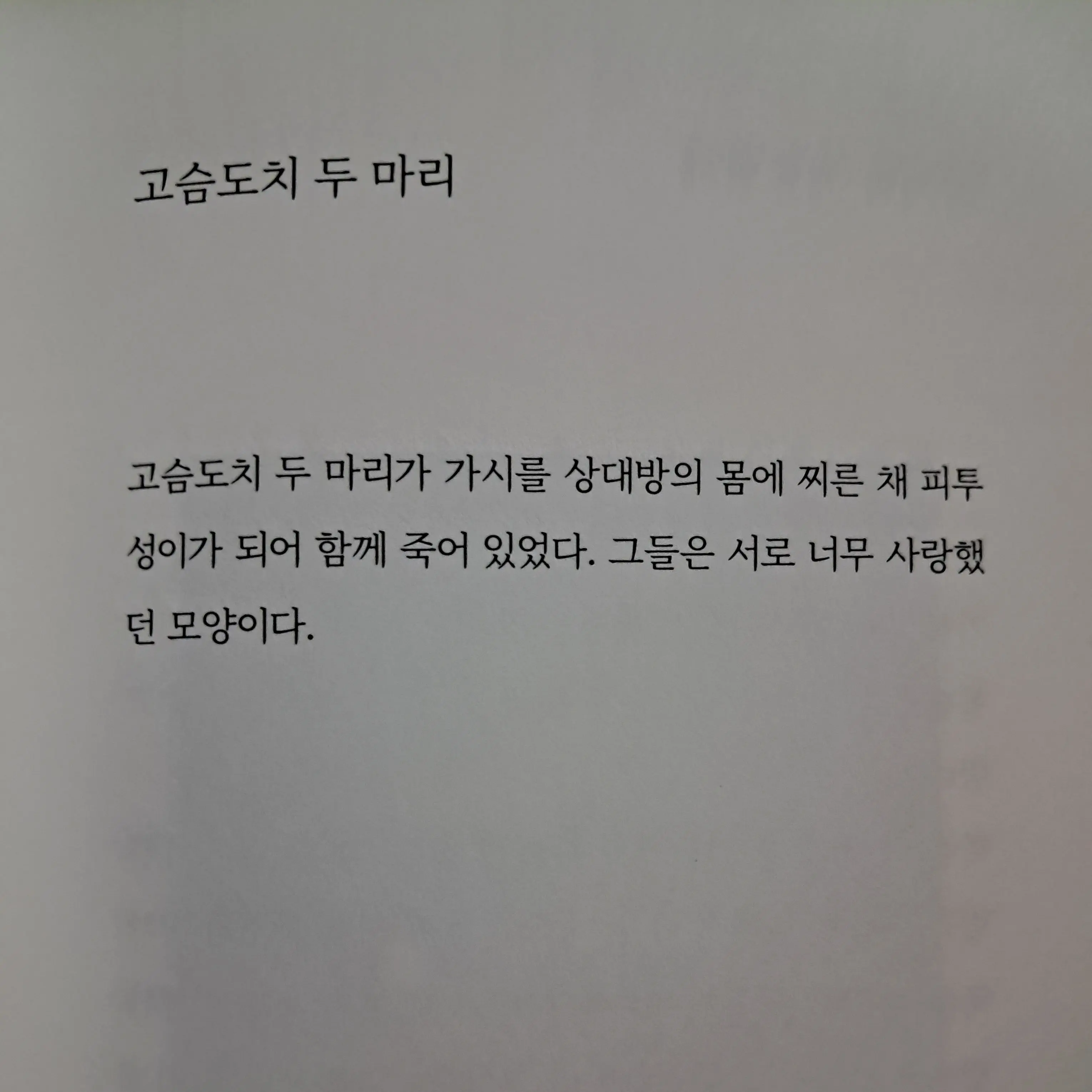 Keyhit203의 病身