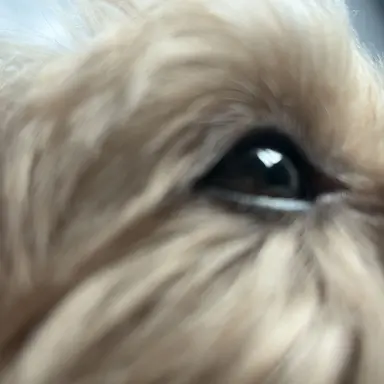 Profile image of 평학