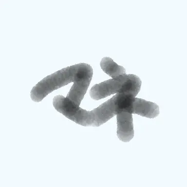 Profile image of ソア
