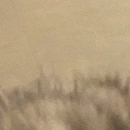 Profile image of 노유나