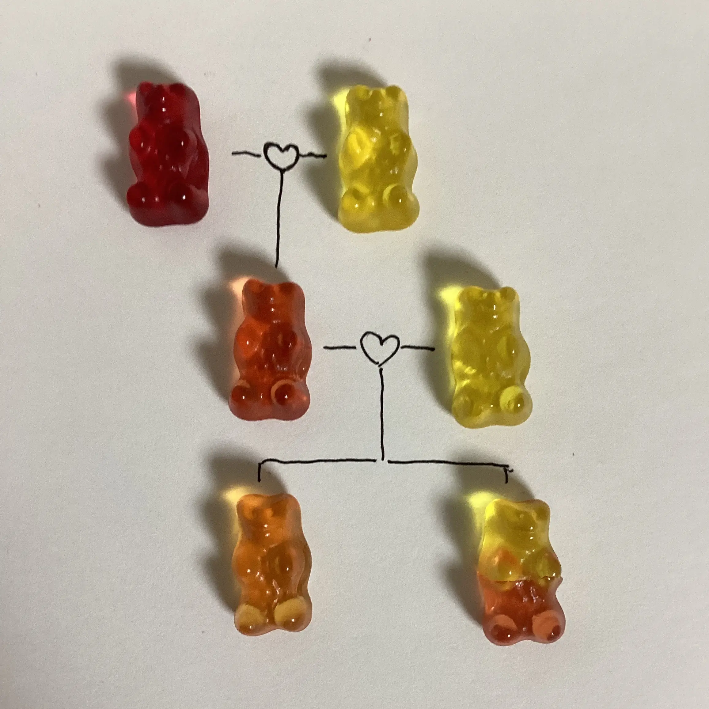 chillgirl_1109의 그저 마법원소녀일 뿐입니다만?