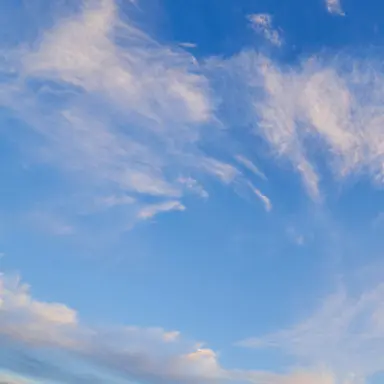 Profile image of 루아