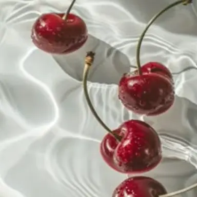 Profile image of 여우