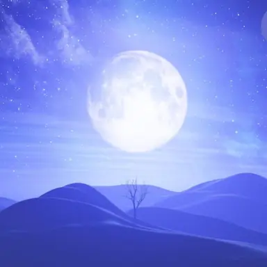 Profile image of 루시네