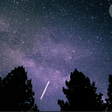 Profile image of 별