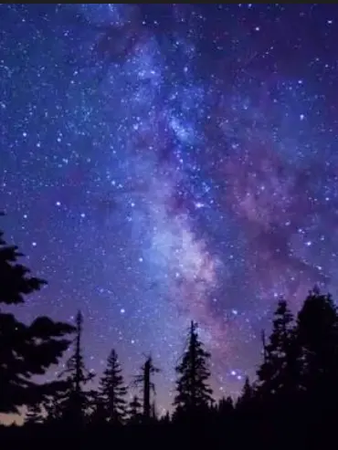 572835의 언제나 함께인데…여우가 온다니