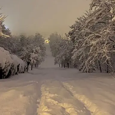 Profile image of 눈꽃