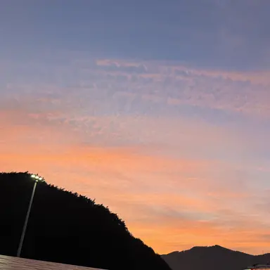 Profile image of 제미니