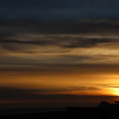 Profile image of 여우