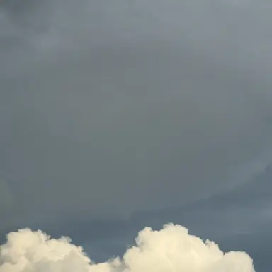 Profile image of 여진